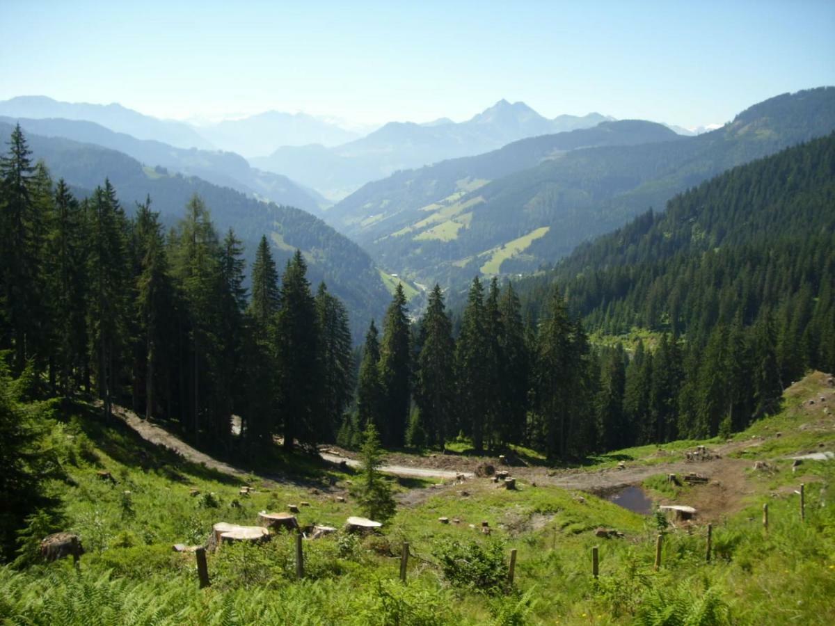 Hotel Chesa Montana Maria Alm am Steinernen Meer Exterior foto