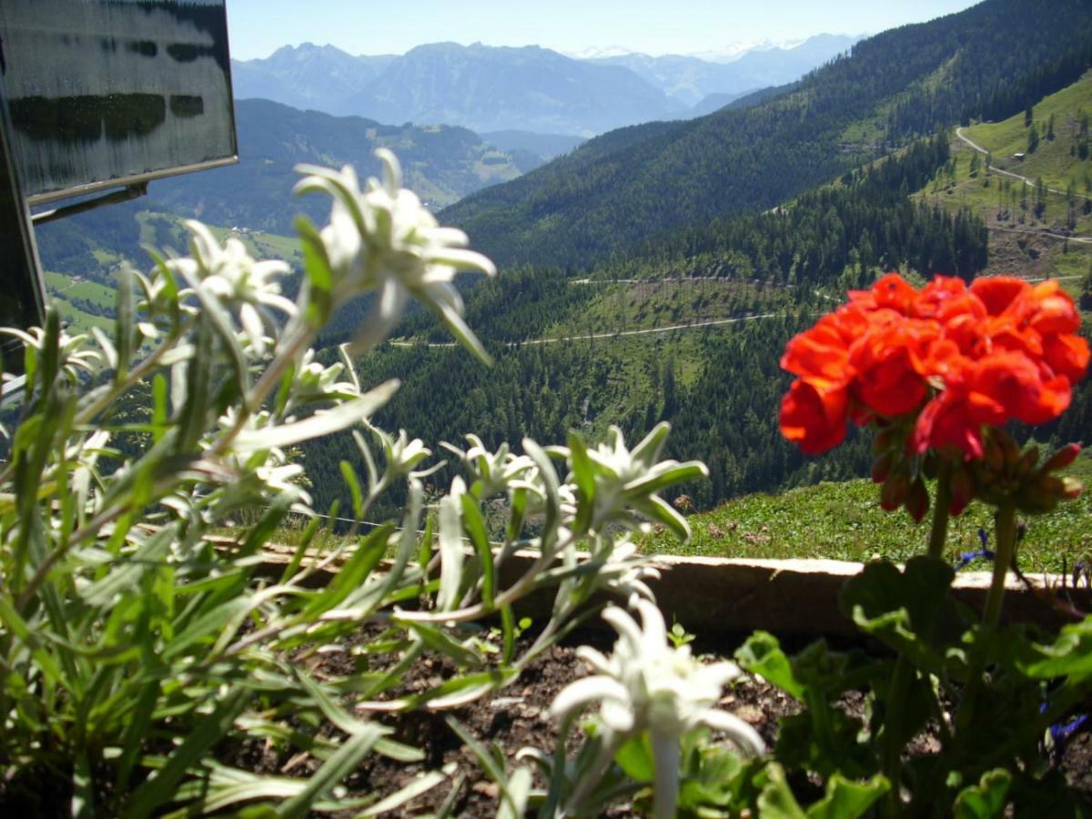 Hotel Chesa Montana Maria Alm am Steinernen Meer Exterior foto